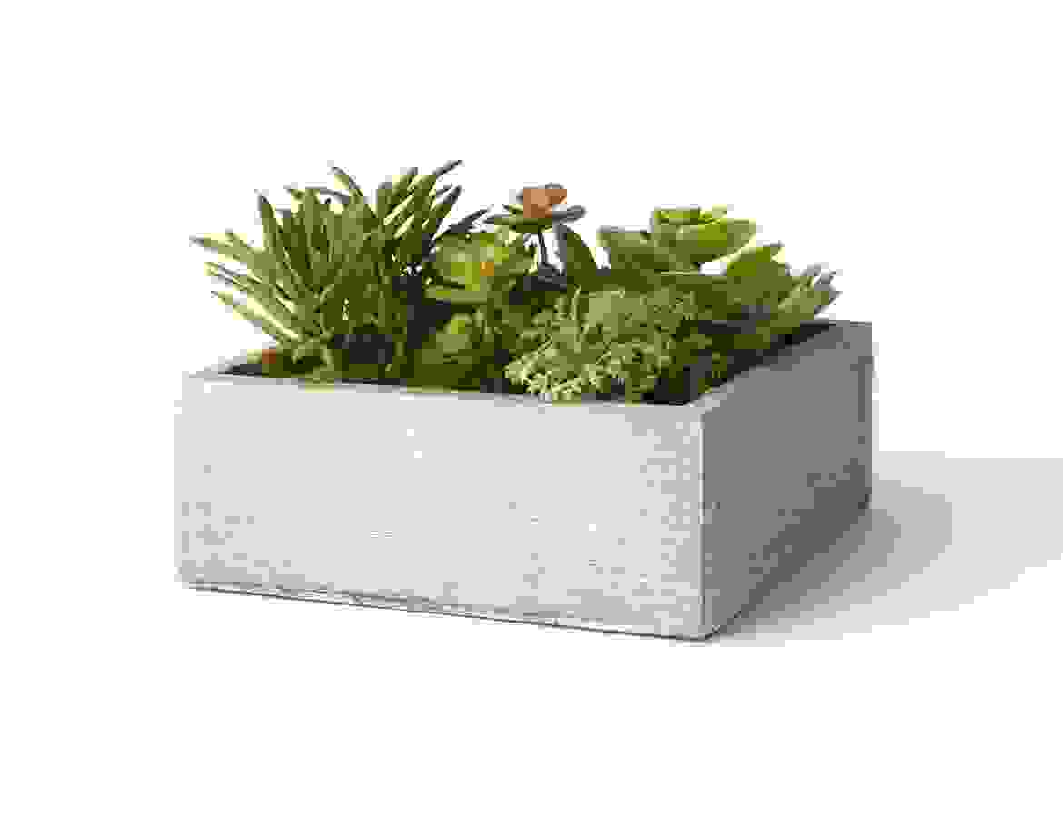 Canvas Prints for personalized design