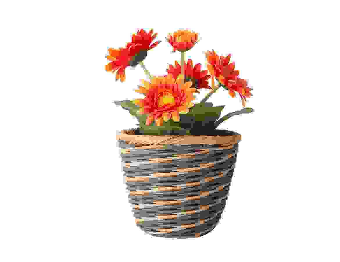 Beautiful flowers in a vase